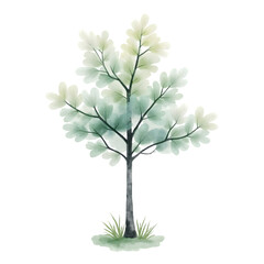Watercolor Style Tree Illustration on Transparent Background
