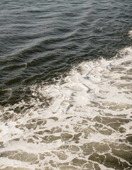 Obraz premium NYC Staten Island Ferry 