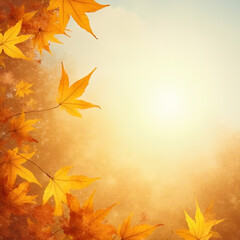 Golden Autumn Maple Leaves with Sunlight