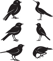 Bird Silhouette Vector Set – Collection of Black Songbird and Small Bird Illustrations in Various Poses for Nature Designs, Wildlife Art, Logos, Tattoos, and Decorative Clipart Use