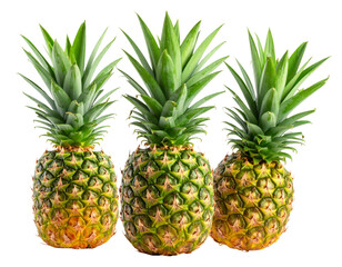 Fototapeta premium Set of Three Detached Pineapple Leaves with Shadow, Isolated PNG