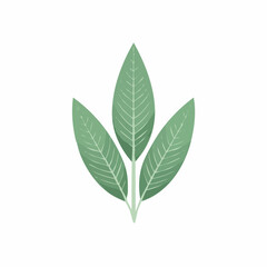 Fototapeta premium Stylized Green Leaves with Detailed Veins and Minimalist Design