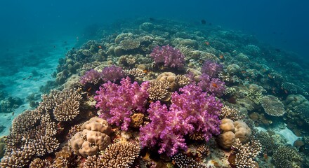 Coral Kingdom's Twilight Bloom