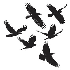 Black bird silhouettes in flight across white birds flying