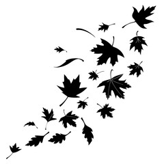 Black leaf silhouettes falling on white background autumn leaves falling leaves