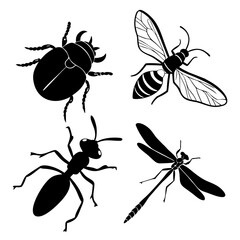Black silhouette insects on white background beetle wasp