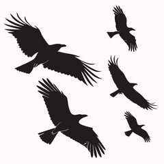 Fototapeta premium Black silhouettes of birds soaring in flight flying wings