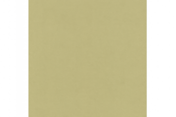 Translucent checkered pattern overlaying soft green textured surface, highlighting graphic design possibilities