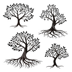 Obraz premium Black tree silhouettes with visible roots and leaves branches