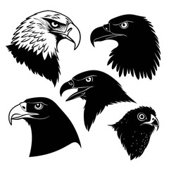 Five black bird heads eagle hawk falcon raptor vector