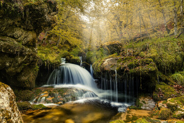 Stream and beech forest.  This beech forest never ceases to amaze, always providing different photographs depending on the season and the flow.