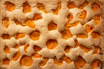 Baked sponge cake with peach halves, and vignette effect, full frame close up