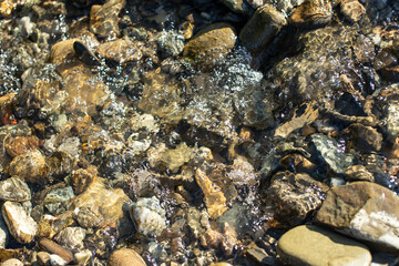 Rapid water stream river close up with sunlight  and motion blur