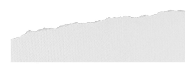 piece of blank white paper texture background torn and ripped on transparent background. document...