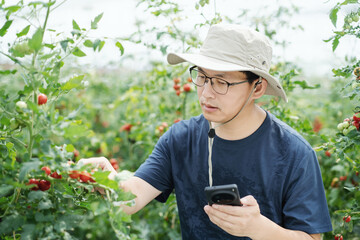 asian male farmer working in greenhouse