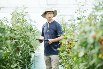 asian male farmer working in greenhouse