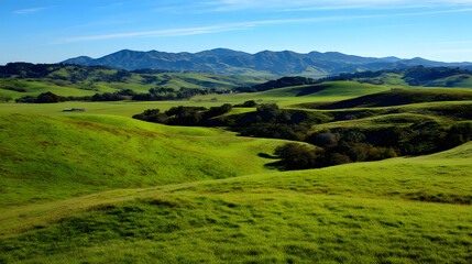 Fototapeta premium Vibrant Green Rolling Hills and Distant Mountains Under a Clear Blue Sky in a Serene Pastoral Landscape