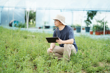 Fototapeta premium asian male farmer working in greenhouse