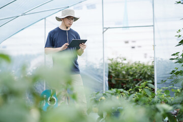 asian male farmer working in greenhouse