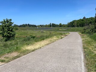 road in the countryside