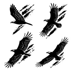 Black eagles in flight with grunge streaks hawk bird