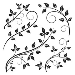 Black floral vines and climbing leaves botanical