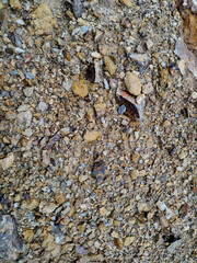 Grey and brown stones scattered on sand surface, natural texture for background or landscape design