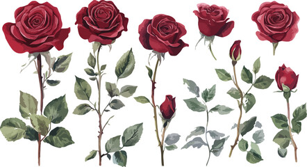 Fototapeta premium Elegant seamless border of red roses with leaves on a white background
