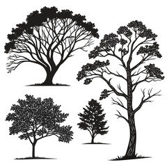 Obraz premium Diverse black tree silhouettes with detailed foliage