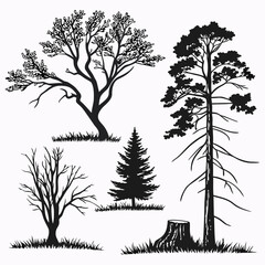 Diverse tree silhouettes on white background trees