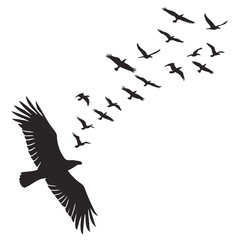 Eagle leading flock of birds flying silhouette