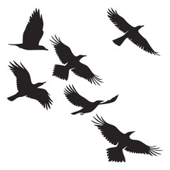 Flock of birds in flight silhouette flying black