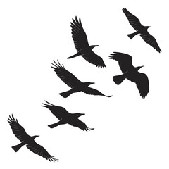 Flock of birds in flight silhouette flying black