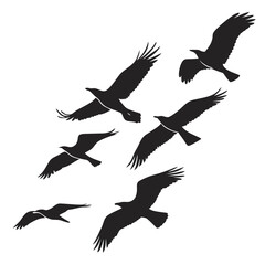 Flock of birds in flight silhouette flying black