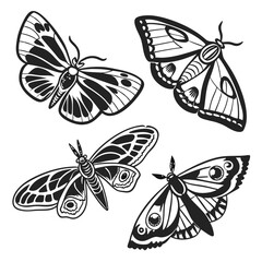 Four black and white moth and butterfly silhouettes