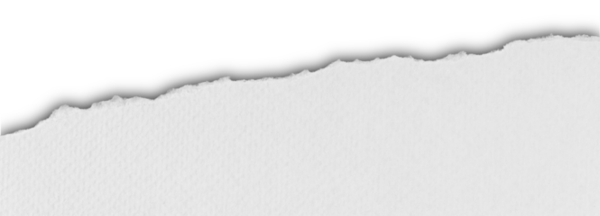 piece of blank white paper texture background torn and ripped with shadow on transparent background. document frame design