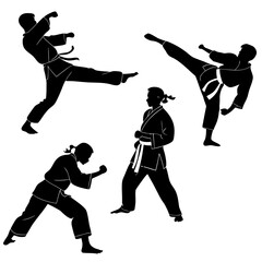 Martial artists performing dynamic combat stances martial arts