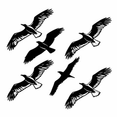 Six black birds in flight flying wings
