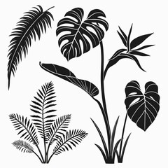 Tropical leaf silhouettes foliage plants tropical plants