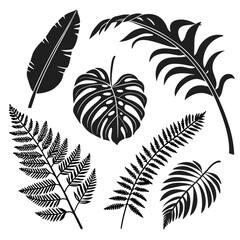 Obraz premium Tropical leaves silhouettes collection jungle leaves