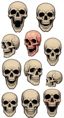 Skeletal Variations