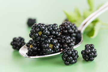 A bunch of ripe blackberries in macro format on a green background