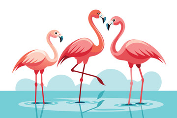 Fototapeta premium Flamingos standing in shallow water