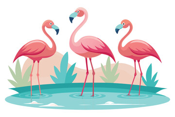Flamingos standing in shallow water