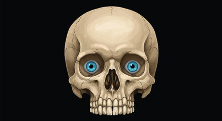 Anatomical Skull Illustration with Vivid Blue Eyes Against a Stark Black Background