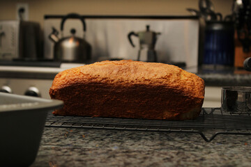Freshly Baked Pound Cake in Warm, Casual Kitchen Environment