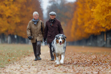 Couple Walking Dog in Autumn