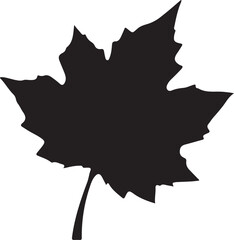 Black Silhouette of a Maple Leaf Autumn Nature Illustration
