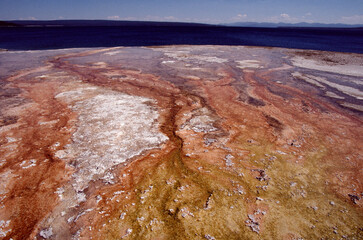 geyser in yellowstone national park

