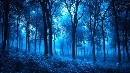 Mysterious blue forest at night